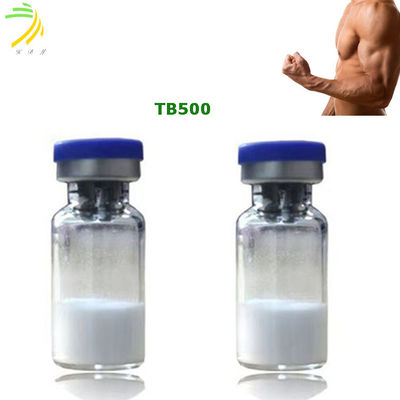 quality Thymosin Beta 4 Peptide xây dựng cơ thể Tb500 Độ tinh khiết 99% factory